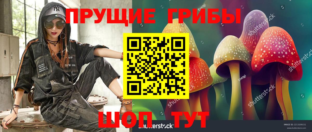 Псилоцибиновые грибы Cubensis  Галлюциногенные грибы MAGIC MUSHROOMS  Ейск  Вход с VPN 